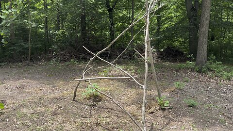 Old Time Trellis
