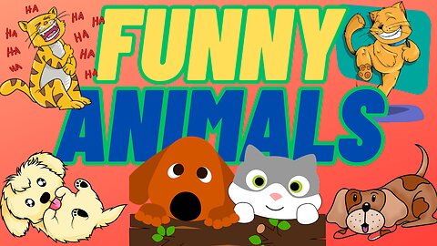 Funny Animals