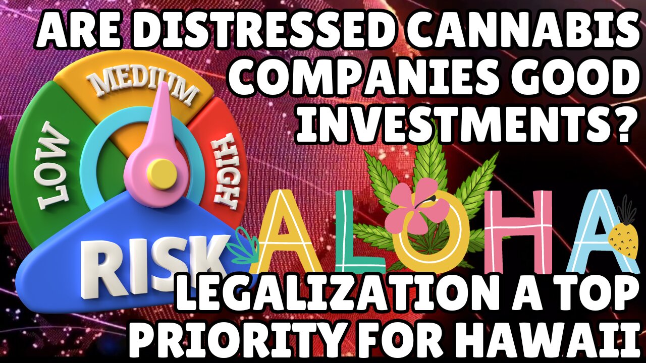 Cannabis Companies in Receivership Good Opportunity or Steep Risk?