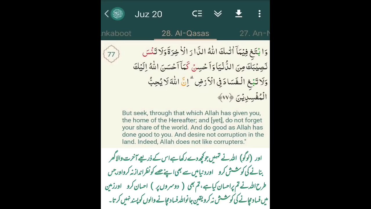 Surah Al Qassas #QuranKareem @mvm.25