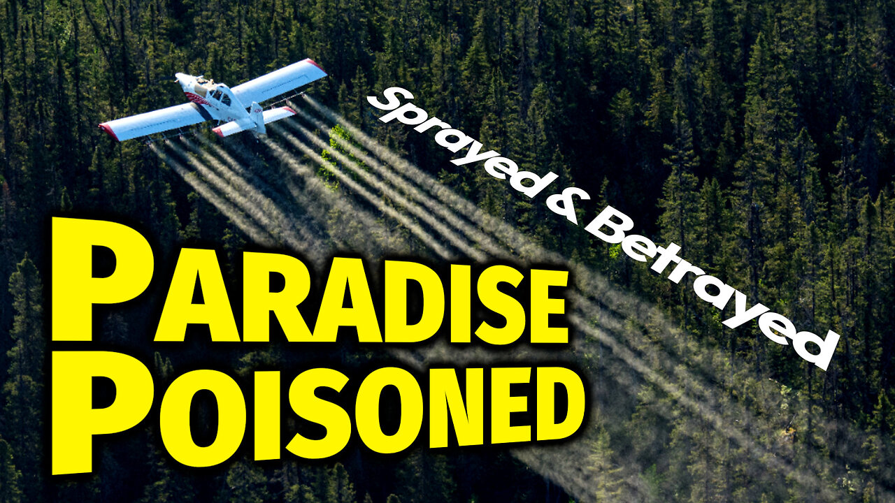KILLING FIELDS: A Glimpse Of The Mass Worldwide Poisoning Of Humanity With Insecticide (Footage)