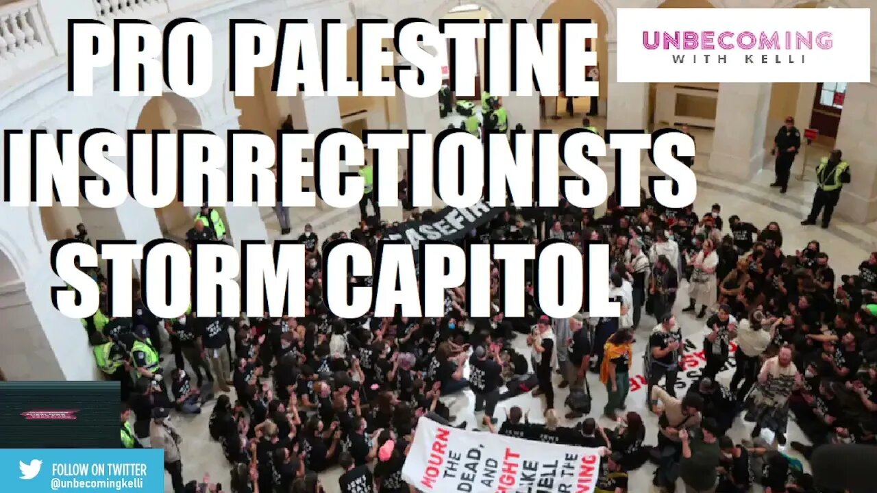 PRO-PALESTINE INSURRECTION AT THE US CAPITOL?