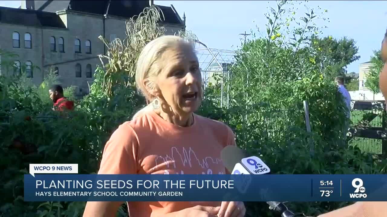 Garden at Hays Porter Elementary growing seeds and minds