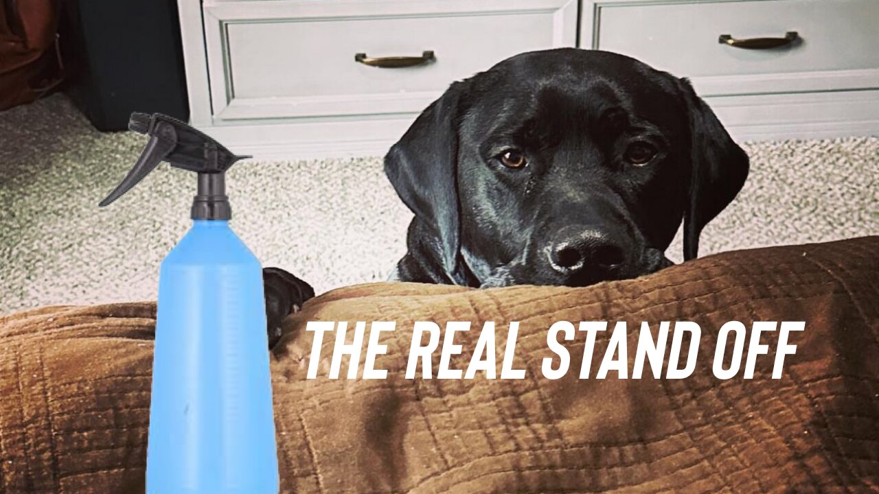 A Real Stand OFF