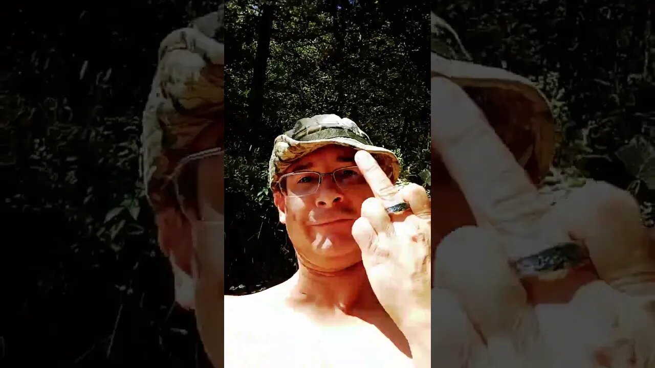 #★★★★★