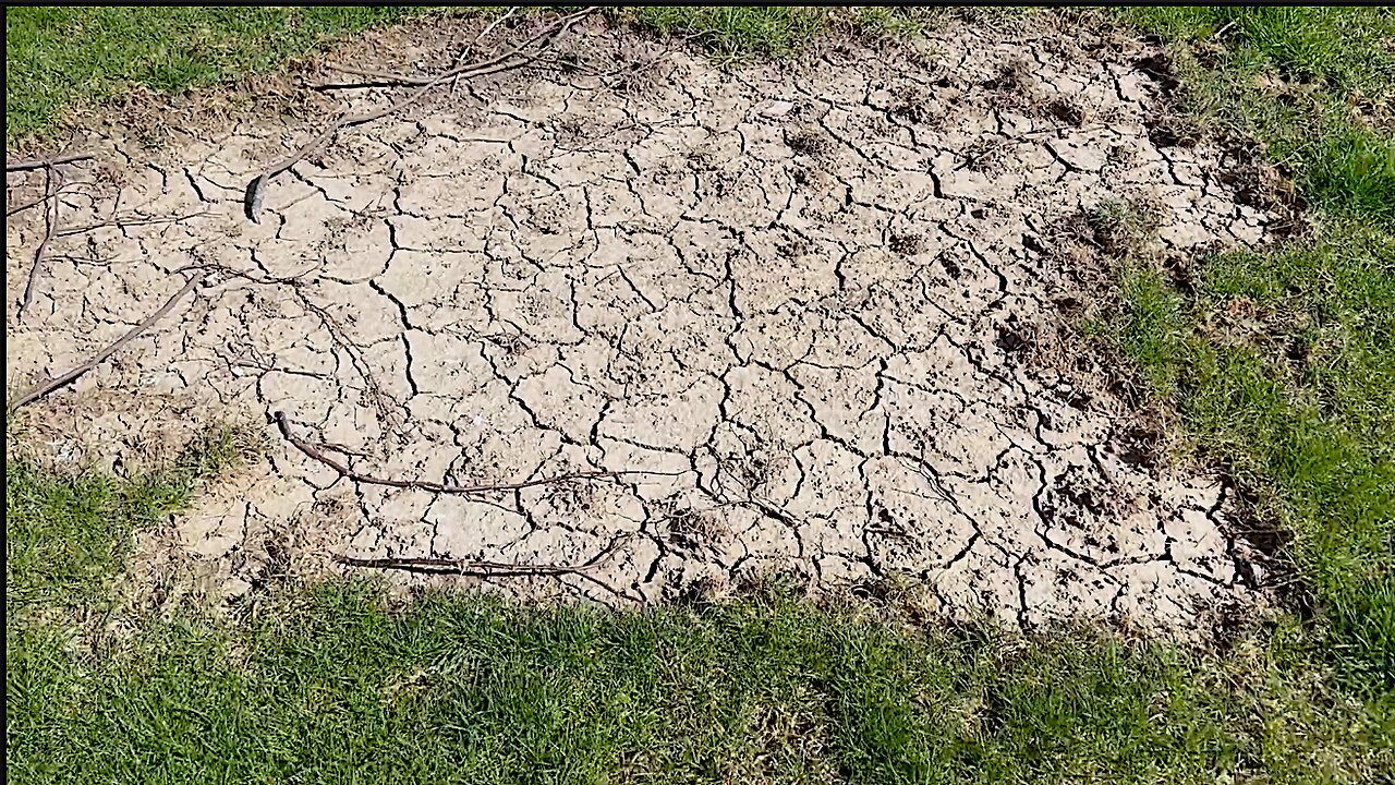 Leveling A Clay Lawn WIth Sand Creates Concrete? INTERNET experts debunked!