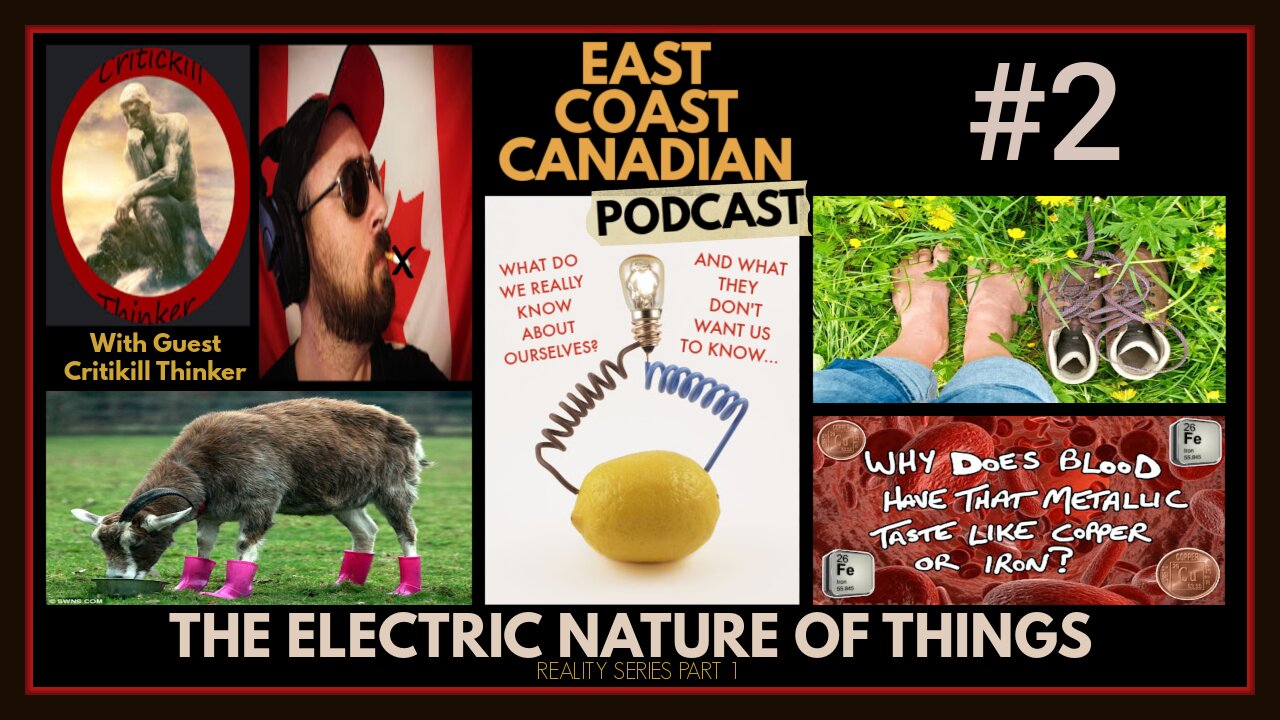 The Electric Nature Of Things