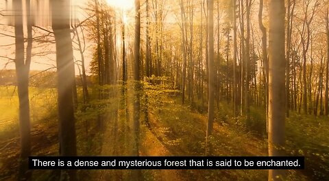 "The Enchanted Forest"