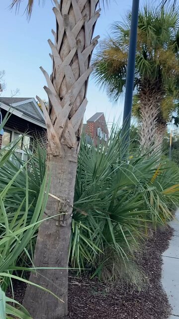 Prayer Jesus show me path. Way I should go, guide us, trust in the Lord