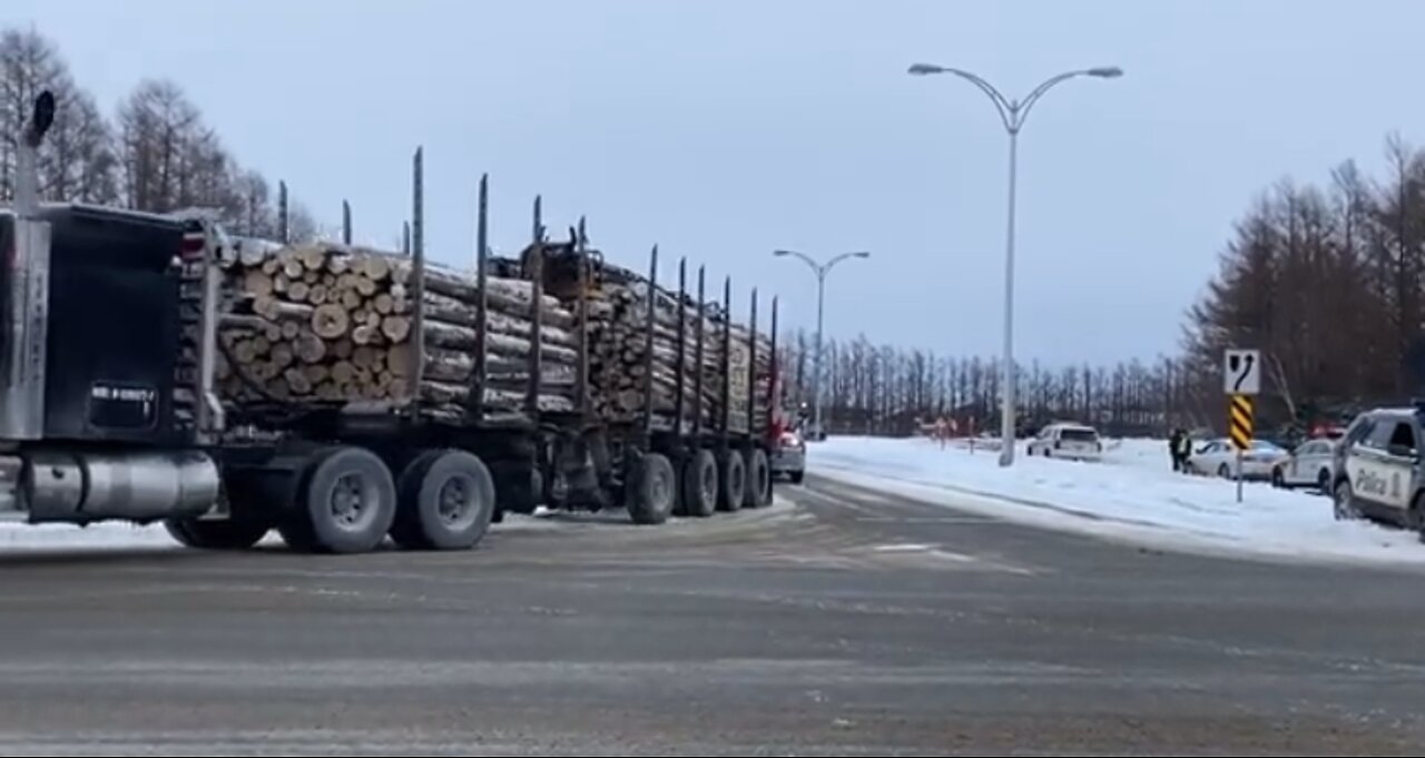 Logging 🪵 trucks headed to Quebec Canada!