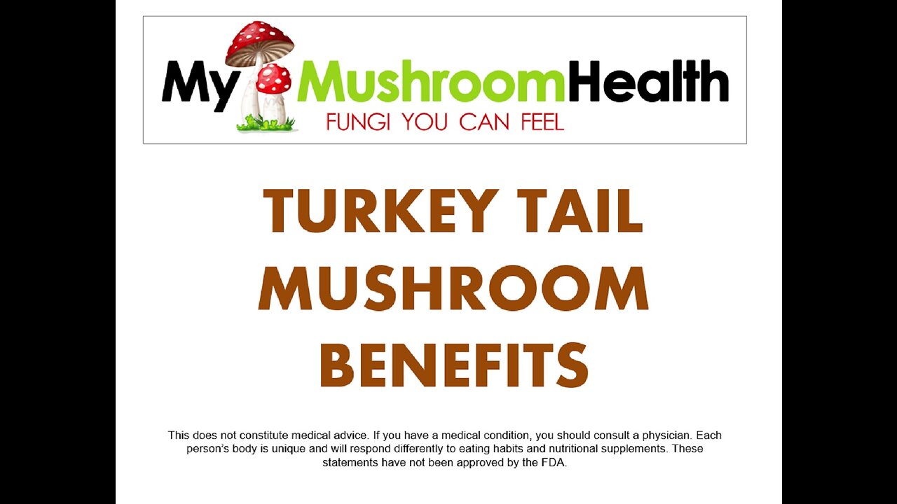 Turkey Tail Mushroom Benefits - My Mushroom Health