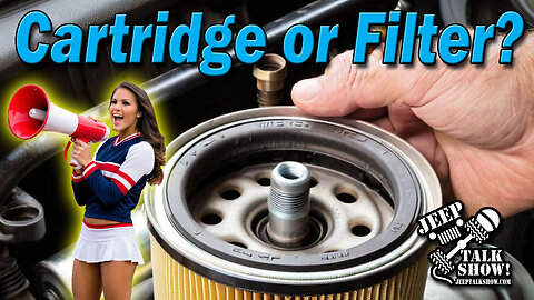 Cartridge or Filter?