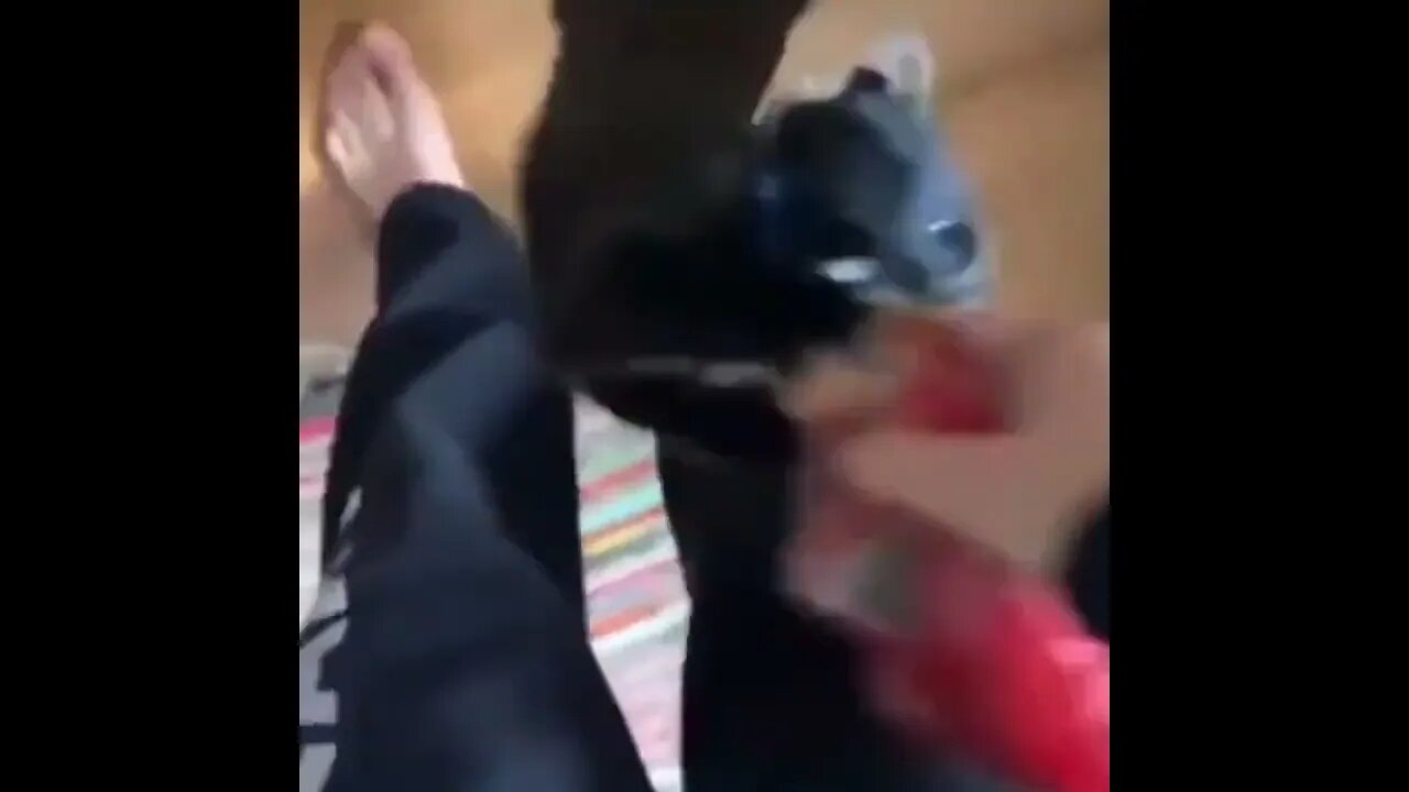 My cat, when i'm 5 minutes late to feed him🐈