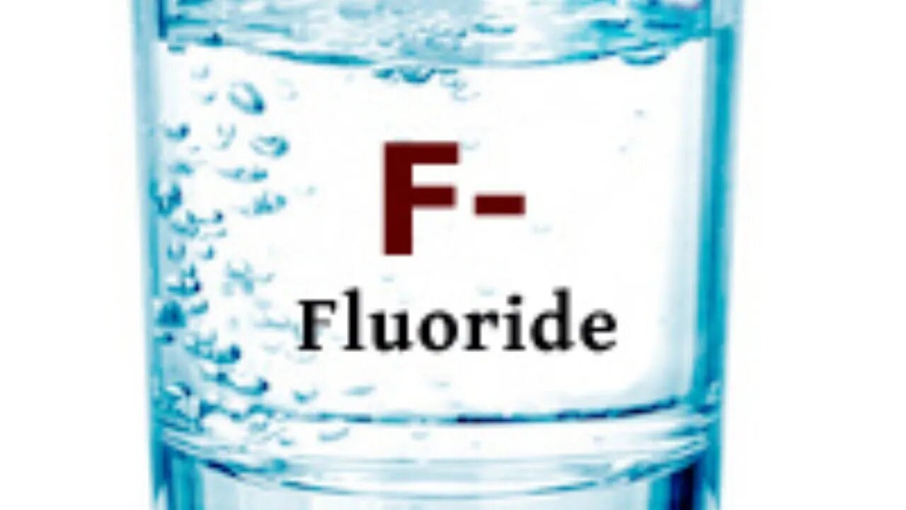 TSCA - EPA Fluoride Legal Proceedings Day 4