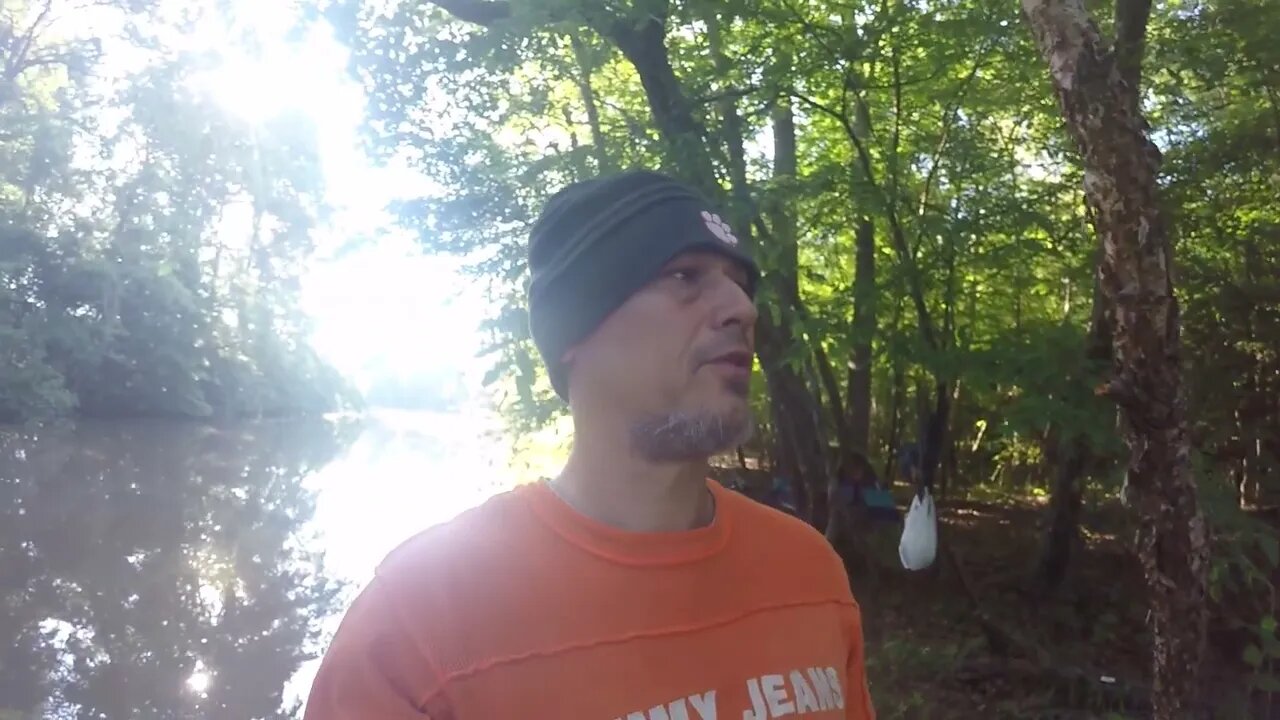 Multiple species of fish