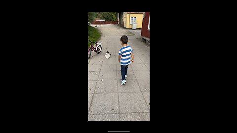 Cuteboy playing with cat