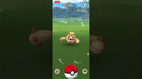 Shiny Compilation