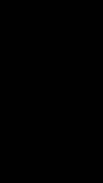 Linguistically talented