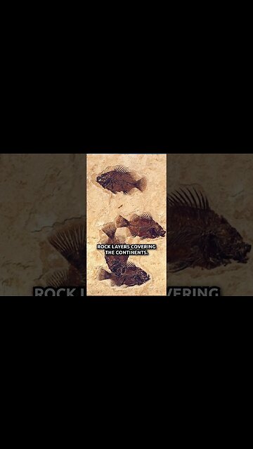 Why are Fish Buried on High Mountains?