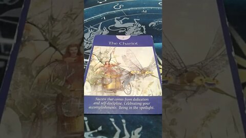 #Gemini Tarot reading For the week of August 29th 2022 #Shorts
