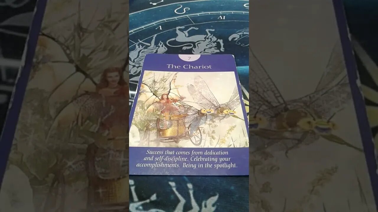 #Gemini Tarot reading For the week of August 29th 2022 #Shorts
