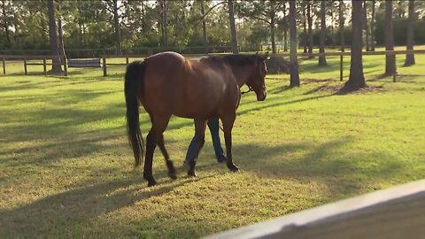 Neighbors plan to fight large development of 4,500 homes in Manatee County