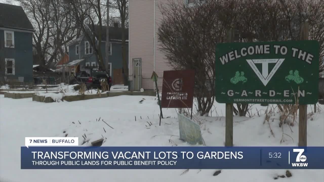 Push to use Buffalo's vacant lots for agriculture and community gardening