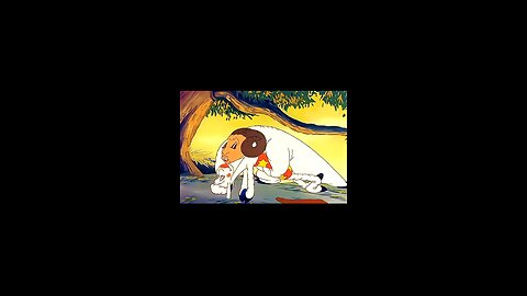 Wolf and sheep love story