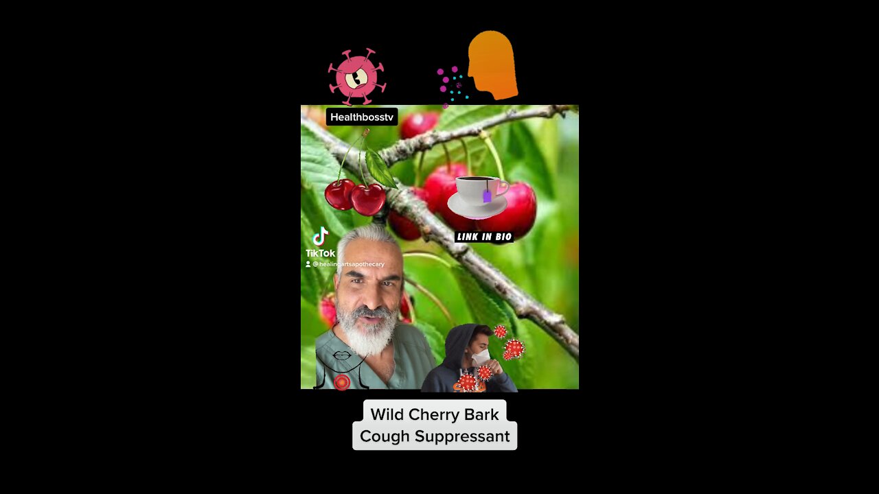 Wild Cherry Bark & Chronic Cough