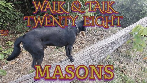 WALK & TALK 28 / MASONS