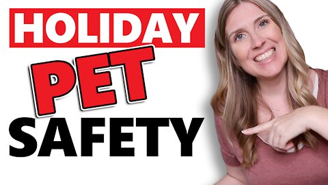 Holiday Tips For Pets