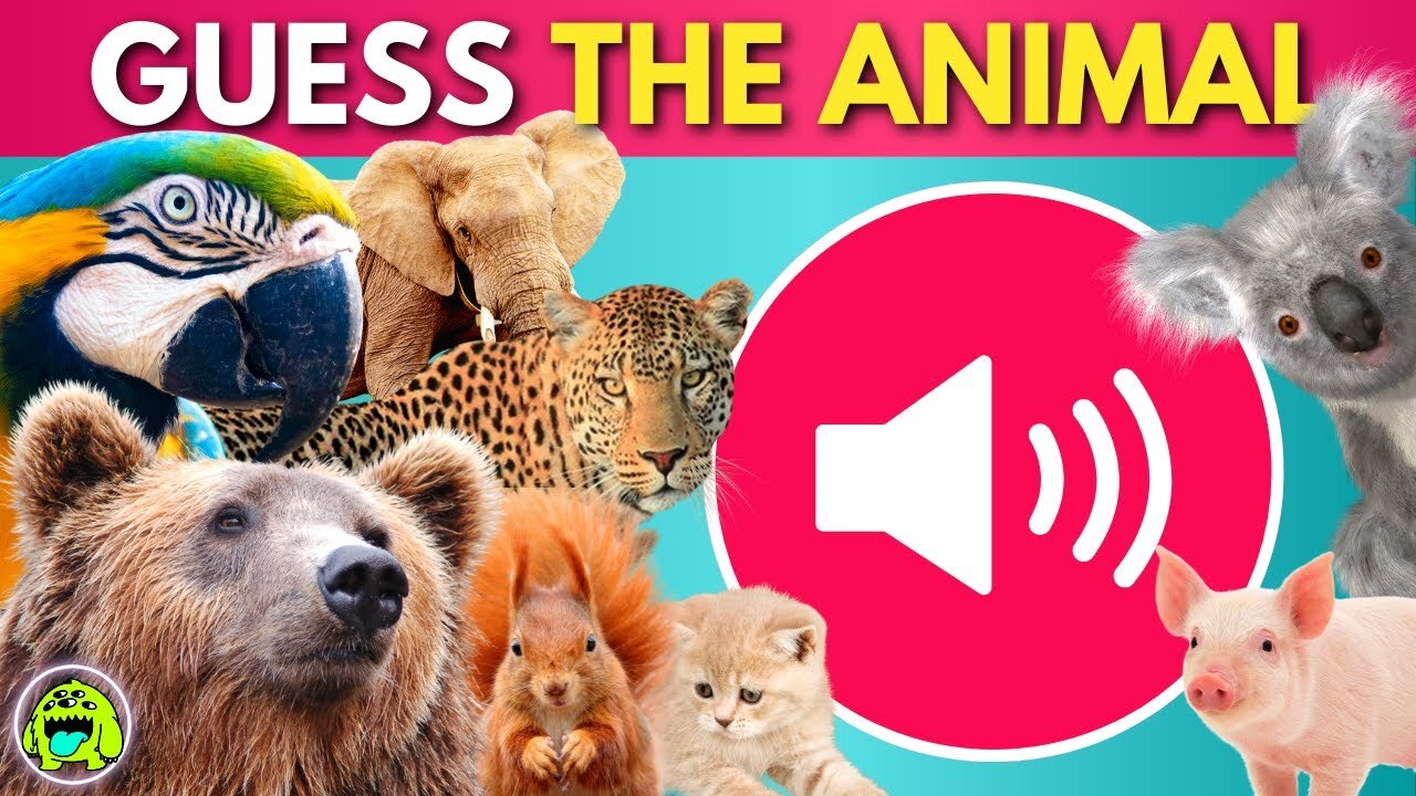 Guess The Animal BY SOUND! 🔊