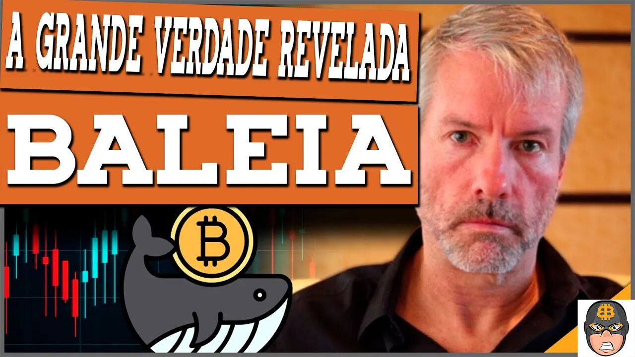 ESSA BALEIA SABE MAIS SOBRE BITCOIN QUE VOCÊ! (A GUERRA DA COMPRA PELO BITCOIN COMEÇOU!)