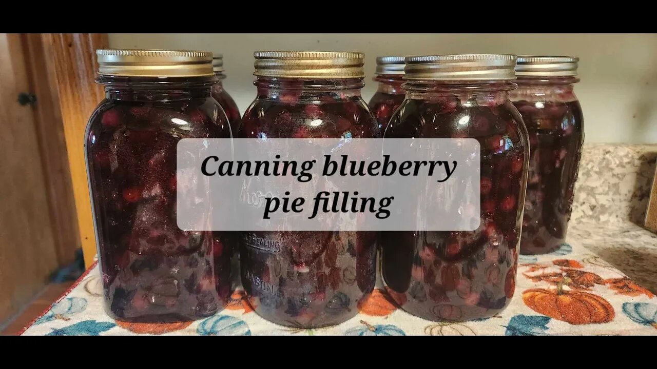 Canning blueberry pie filling #everybitcountschallenge #canning #forjars