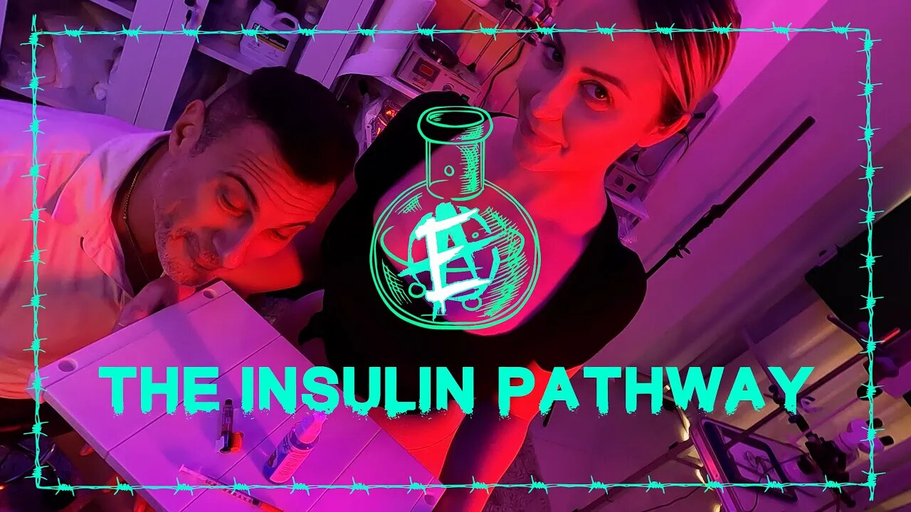 THE SECRETS OF INSULIN | HOW TO USE INSULIN TO BECOME A MONSTER