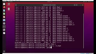 pipe.c - Usando um Pipe para Comunicação com um Processo Filho no Linux