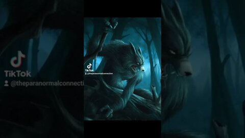 The Lycan