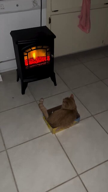 chestnuts roasting on an open fire