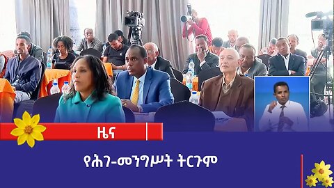 የሕገ-መንግሥት ትርጉም