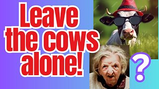 Giving an 'additive' to cows to stop them belching and farting!?