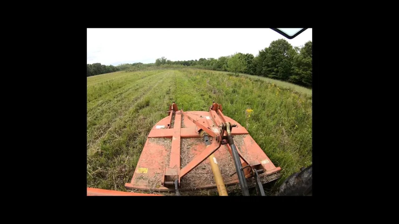 Bush hogging food plots, CRP, trails & more, Southern Illinois land management