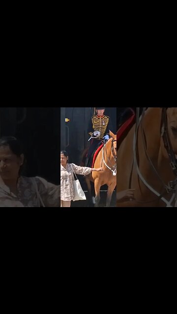 Touching the reins #horseguardsparade
