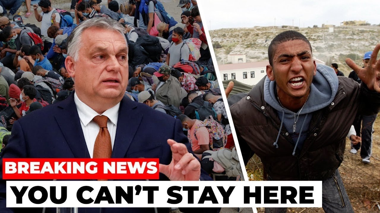 How Hungary ENDED The Immigration Crisis!