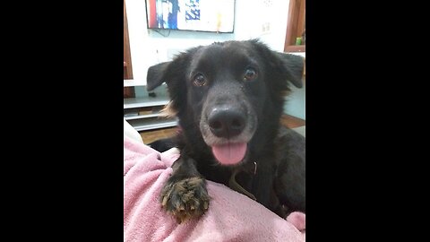 Dia Maravilhoso em Familia, Passei com o Thor no Lago