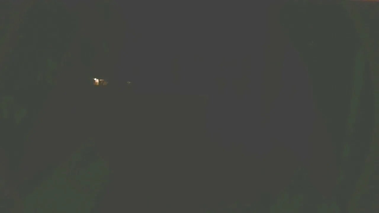 Live Bird Feeder in Asheville North Carolina. Up in the mountains. Today July 30th 2021 All Night.