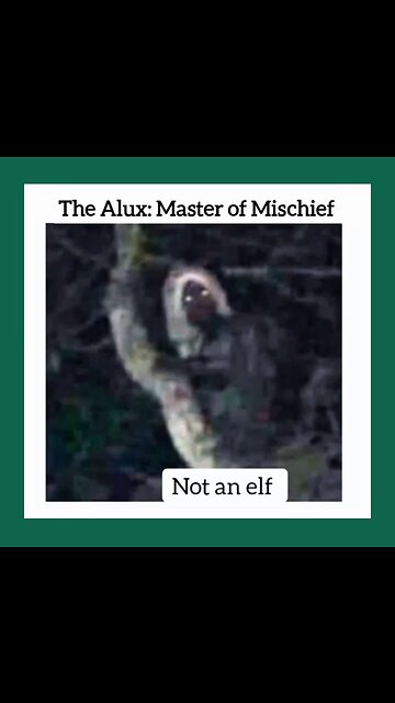 The Alux: Master of Mischief