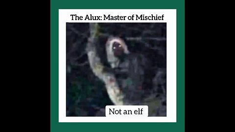 The Alux: Master of Mischief