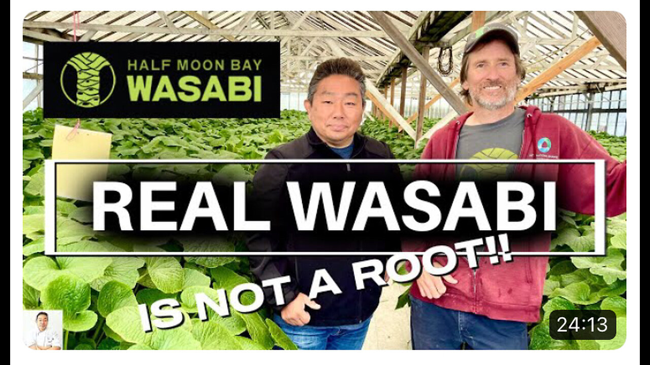 Fresh Wasabi