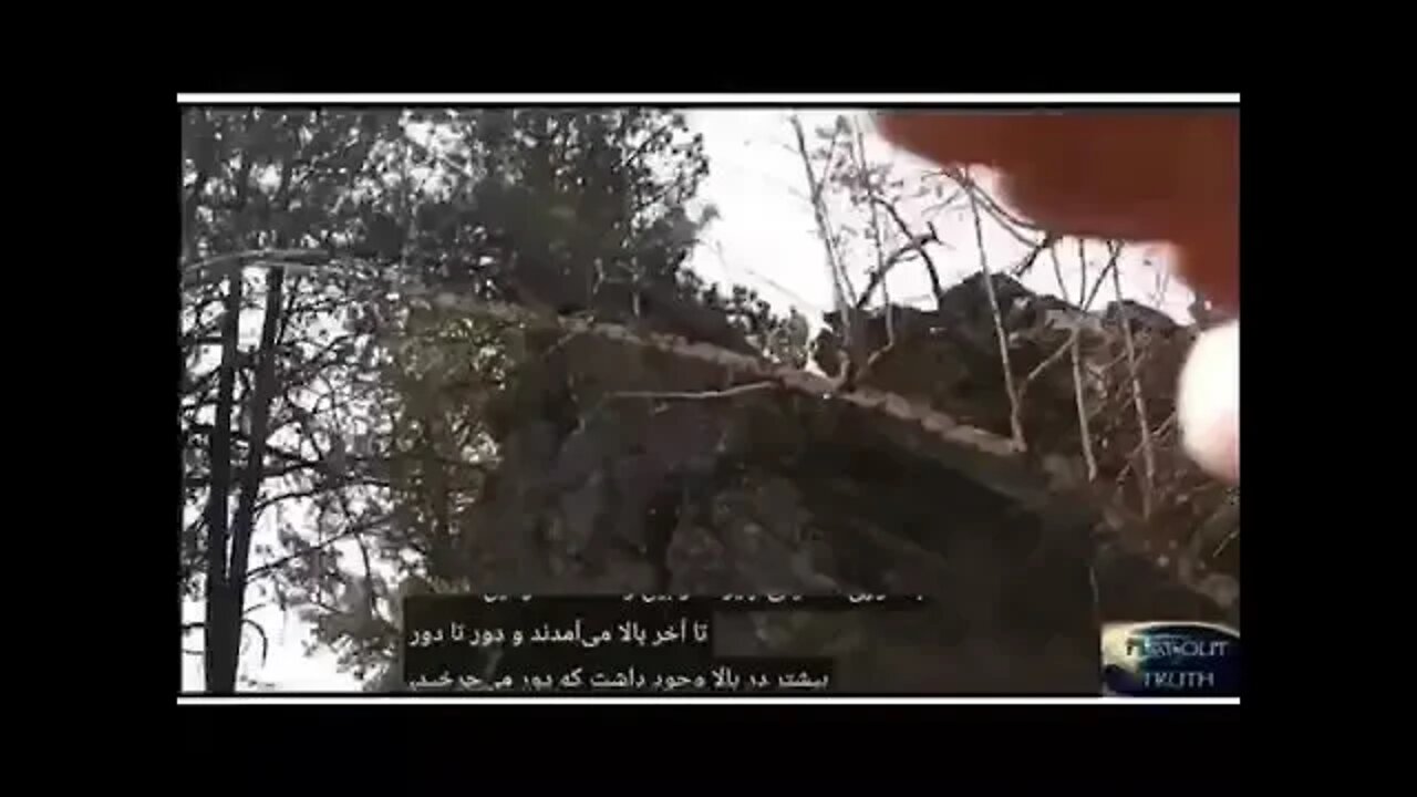 ۲۹ ژوئیهٔ ۲۰۲۲