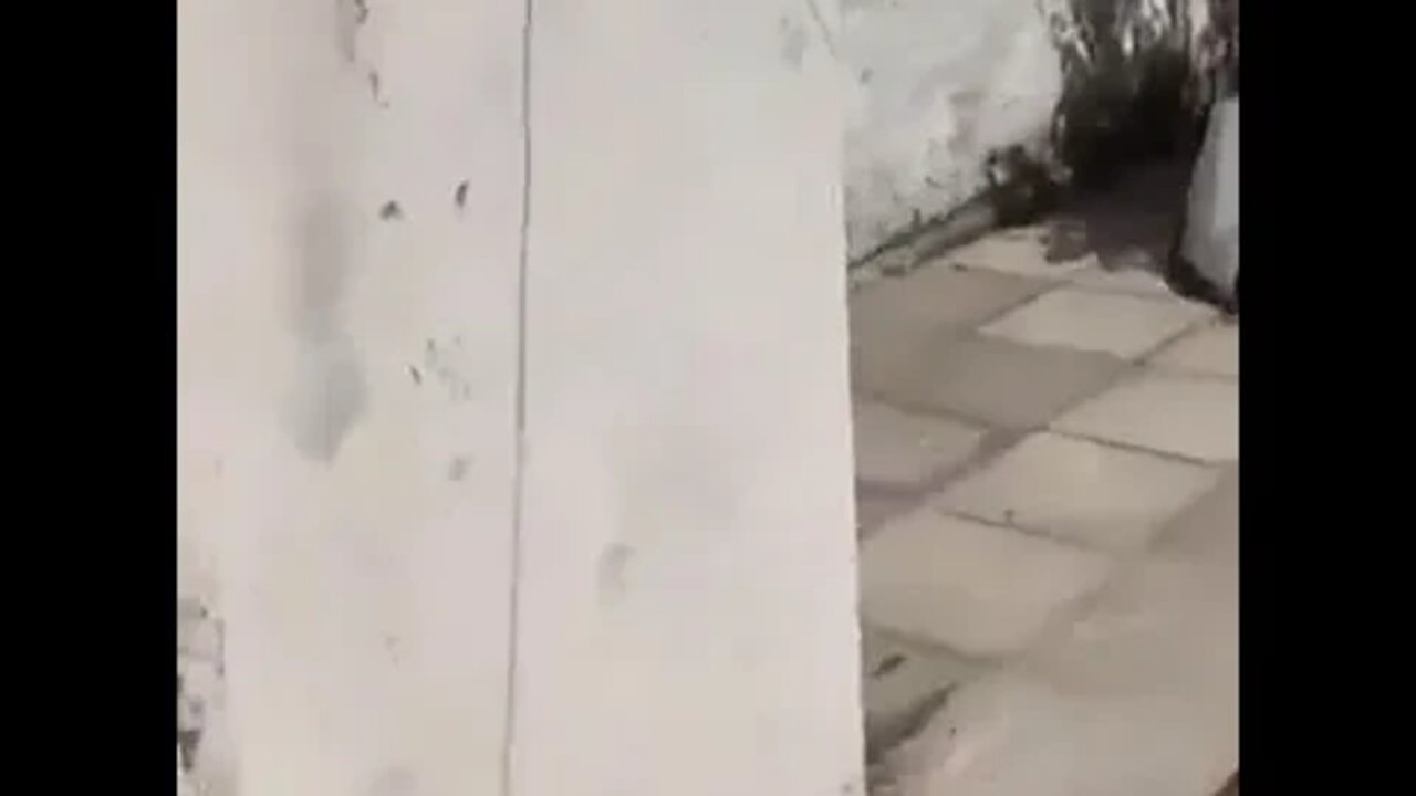 Man returns baby to mother